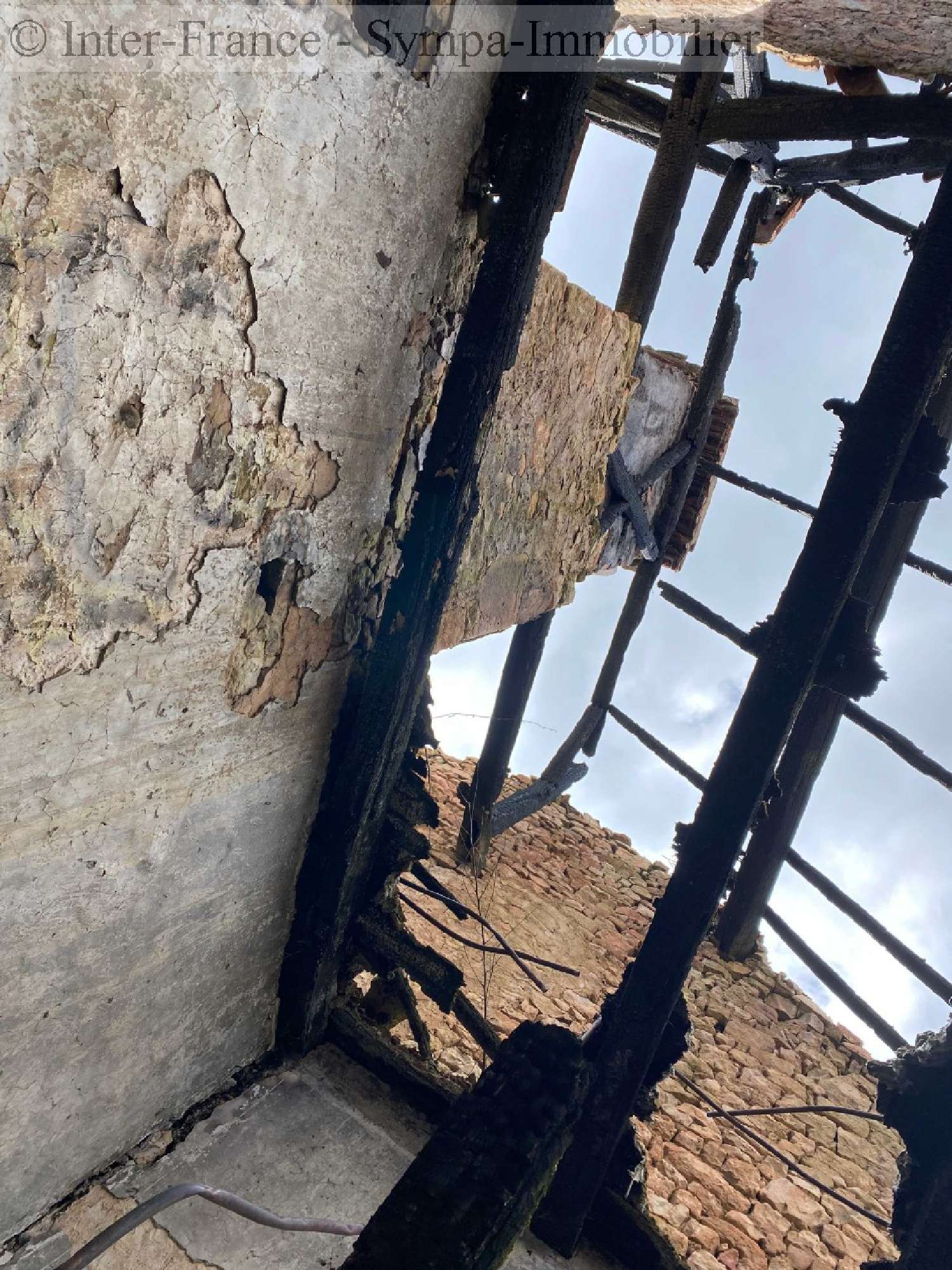 for sale house Varennes-sur-Amance Haute-Marne 11