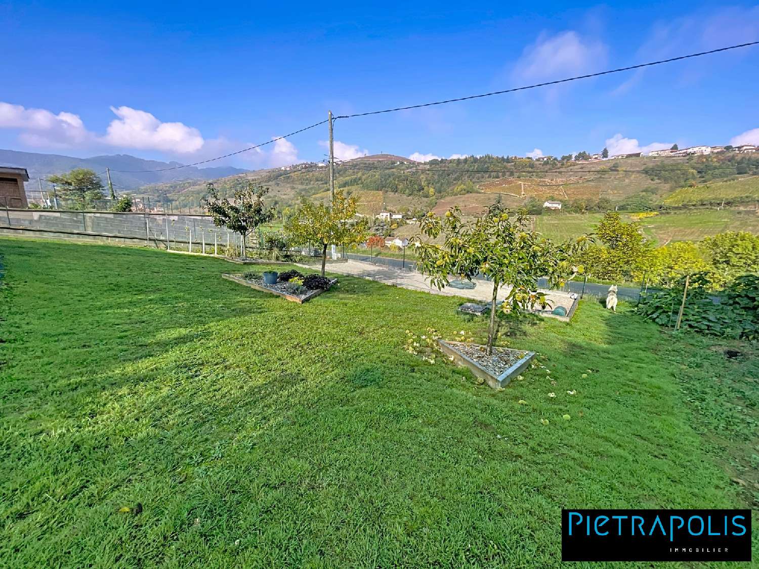  te koop huis Vaux-en-Beaujolais Rhône 4