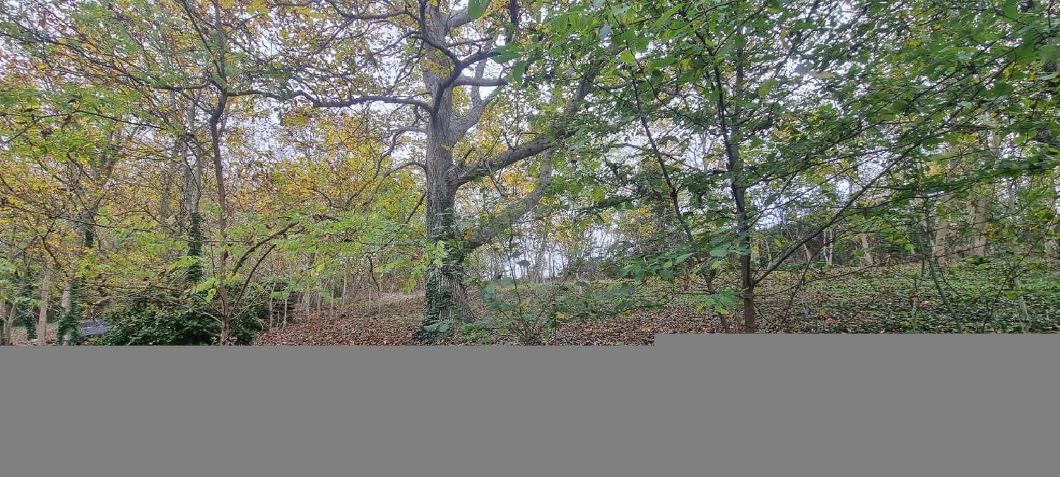 te koop huis Vendôme Loir-et-Cher 4