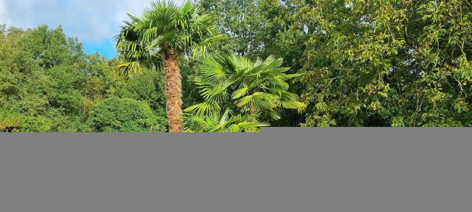  kaufen Haus Vendôme Loir-et-Cher 1