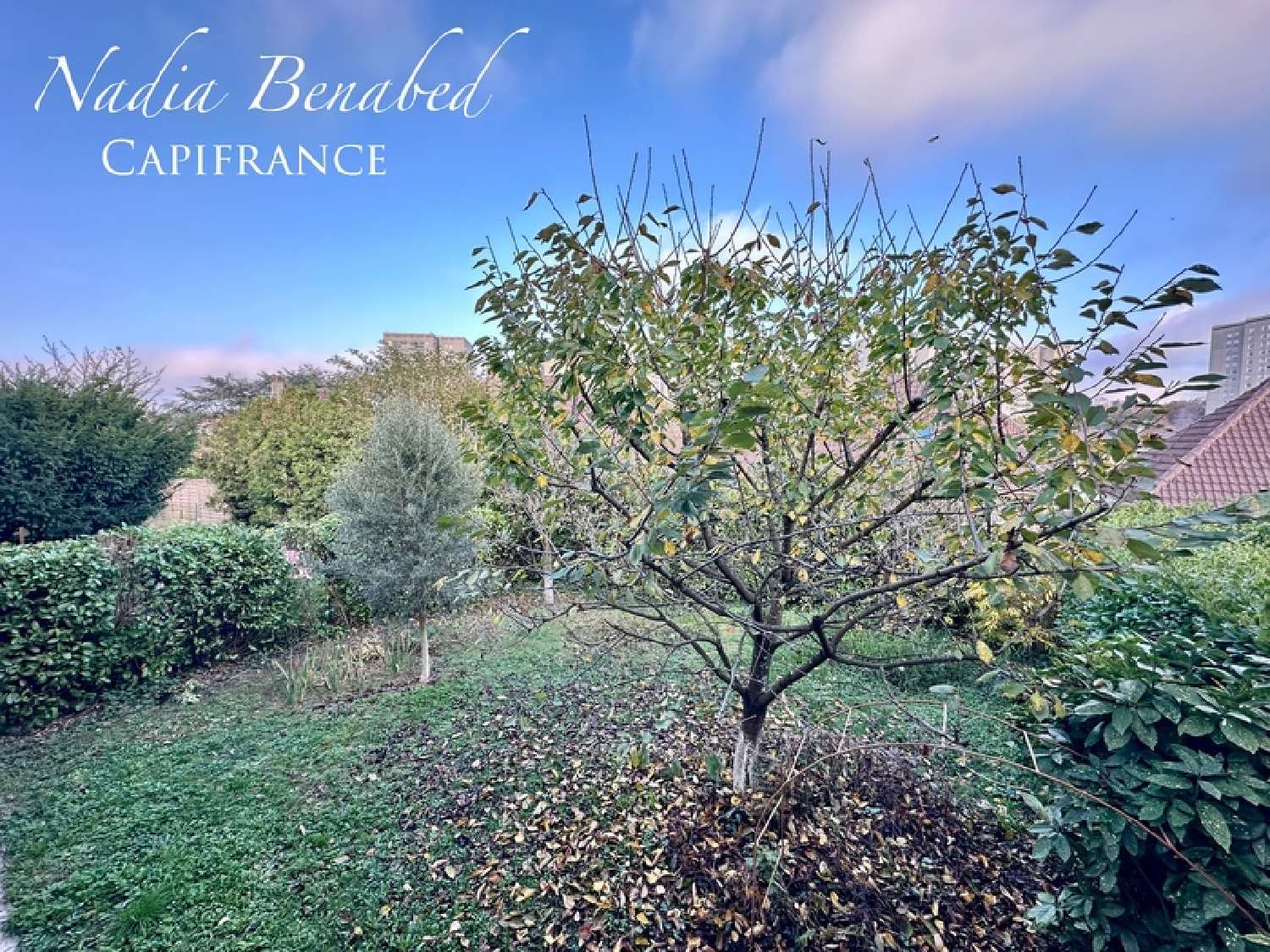 à vendre maison Vénissieux Rhône 5