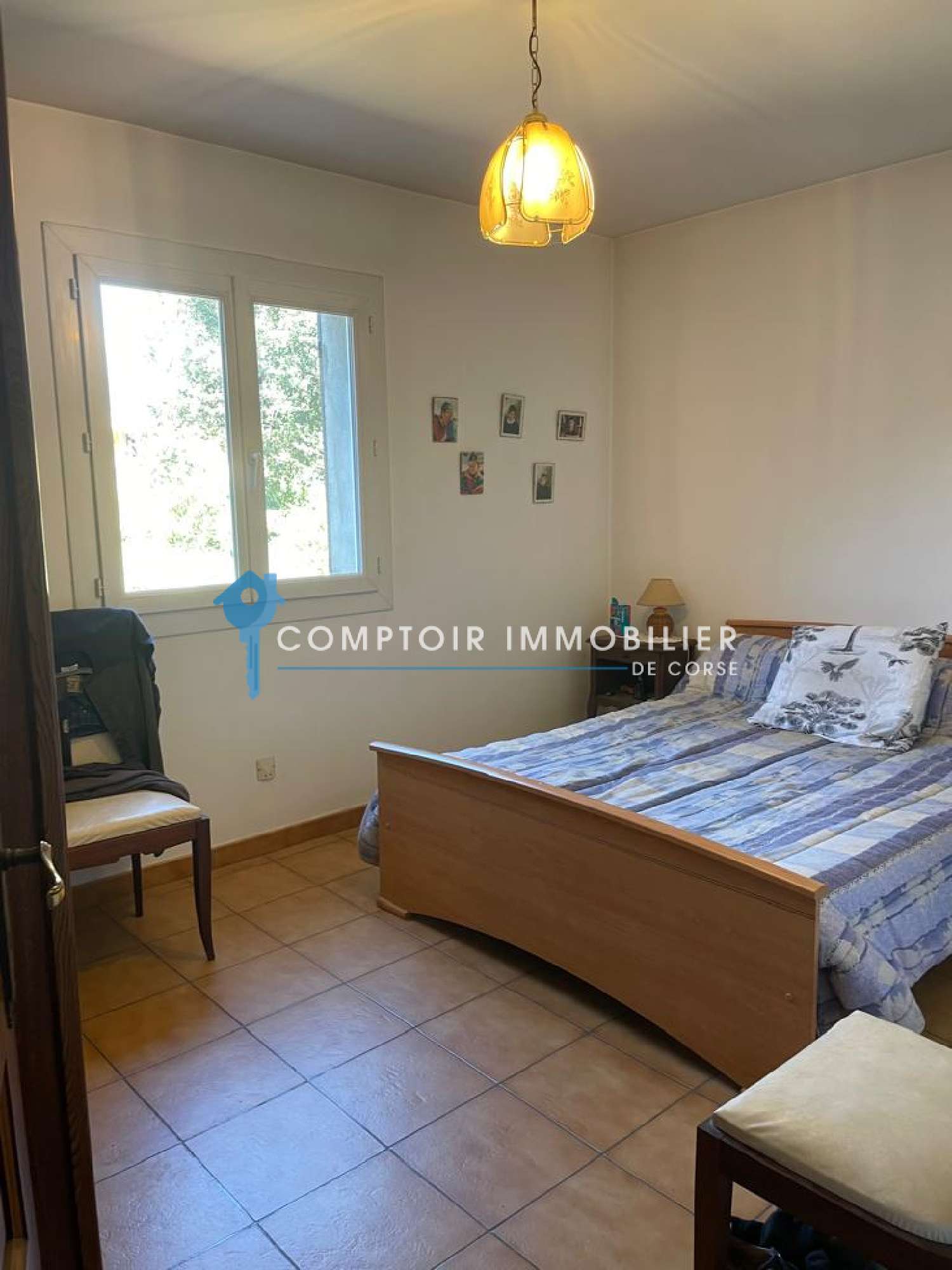 te koop huis Ventiseri Haute-Corse 6