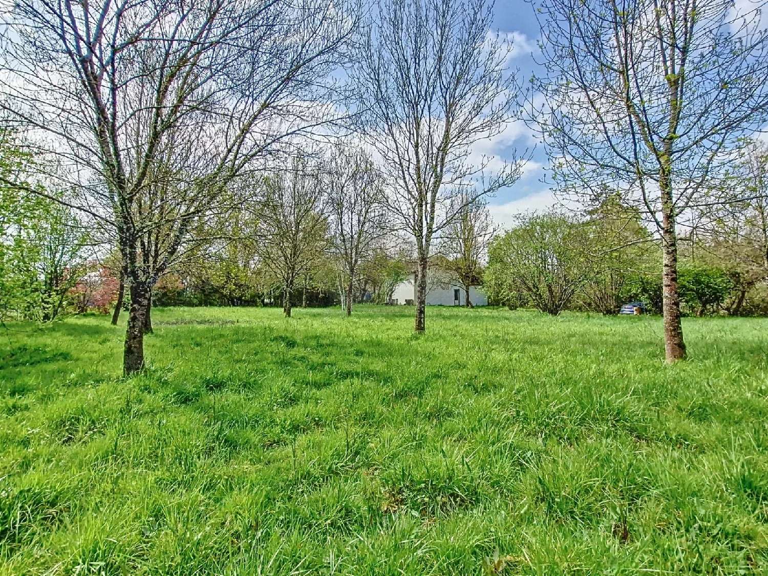  à vendre maison Vic-Fezensac Gers 6