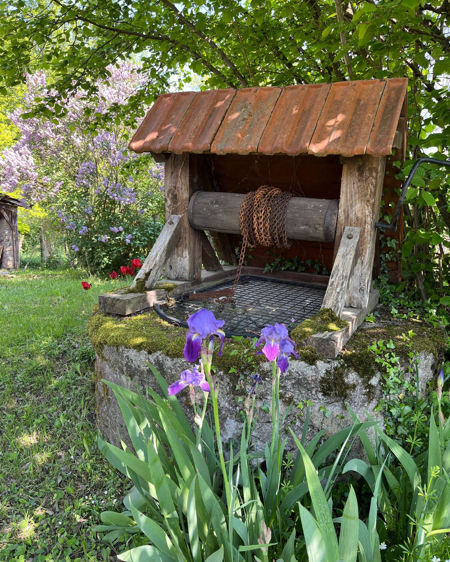 kaufen Haus Vichy Allier 3