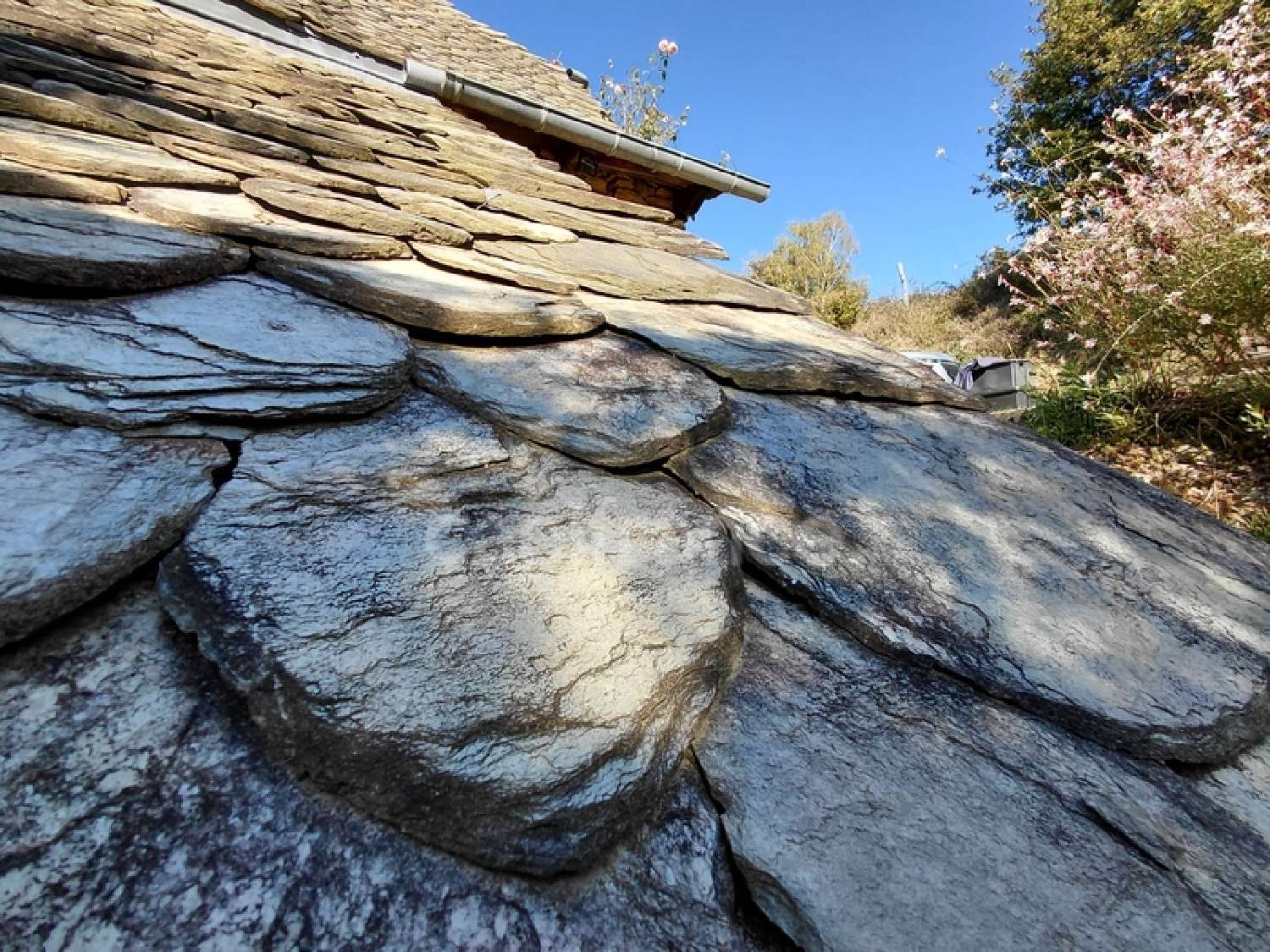  for sale house Vieillevie Cantal 2