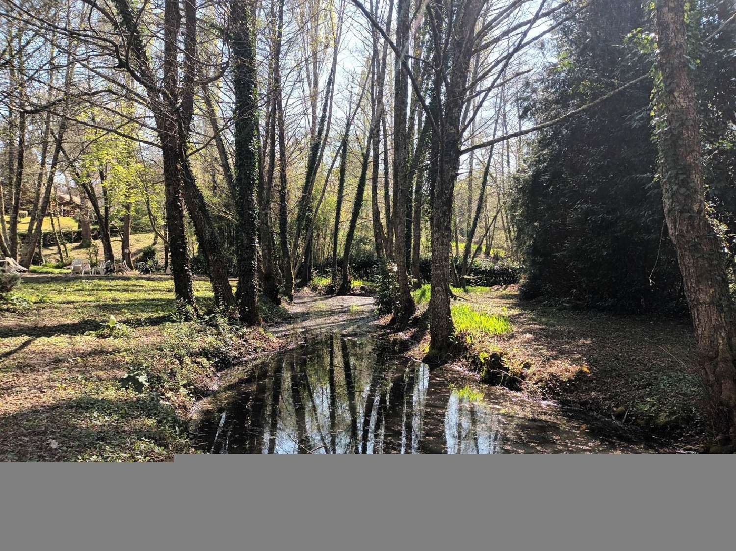 kaufen Haus Villandraut Gironde 3