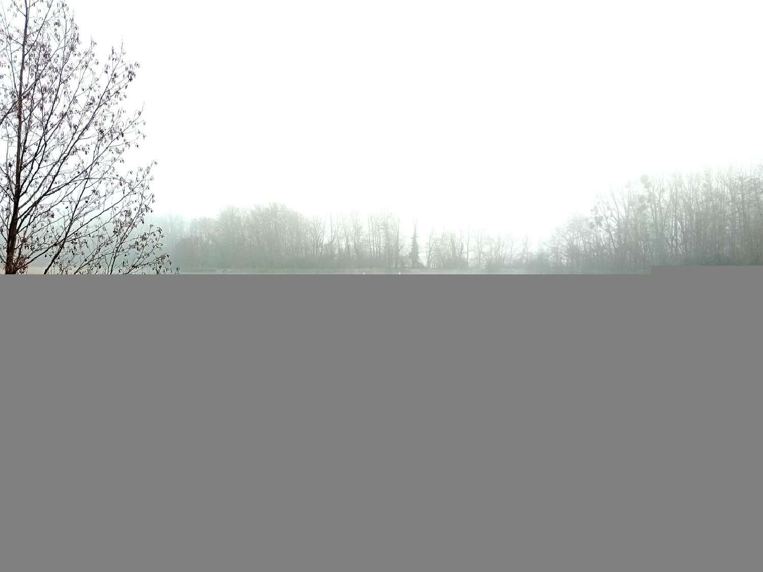 for sale house Villars-les-Dombes Ain 2