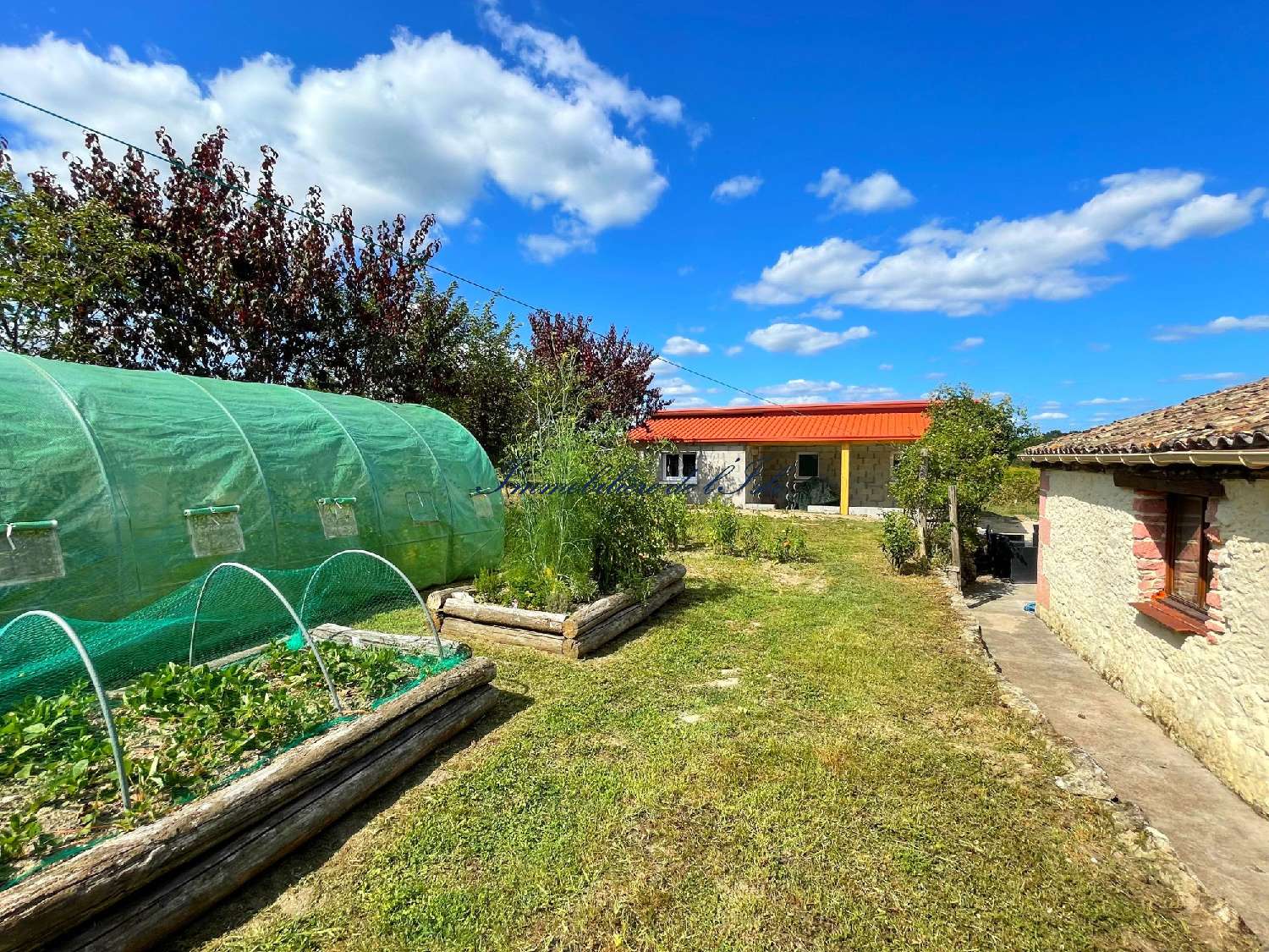  à vendre maison Villefranche-de-Lonchat Dordogne 6