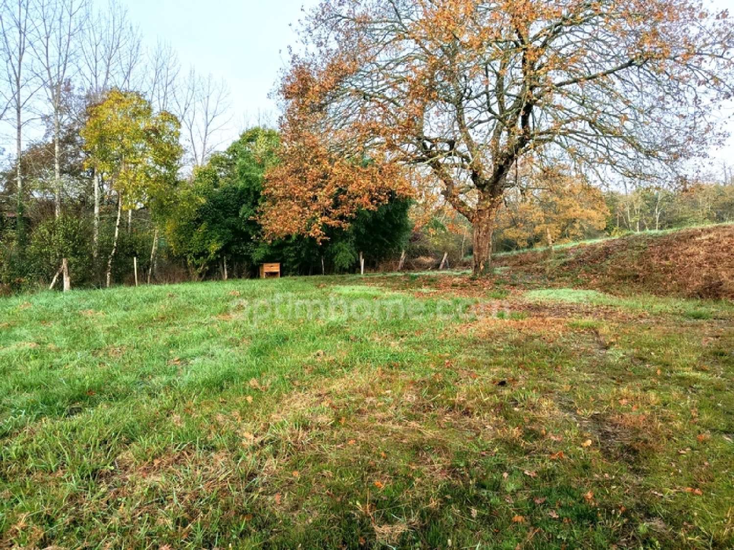  for sale house Villeneuve-de-Marsan Landes 3