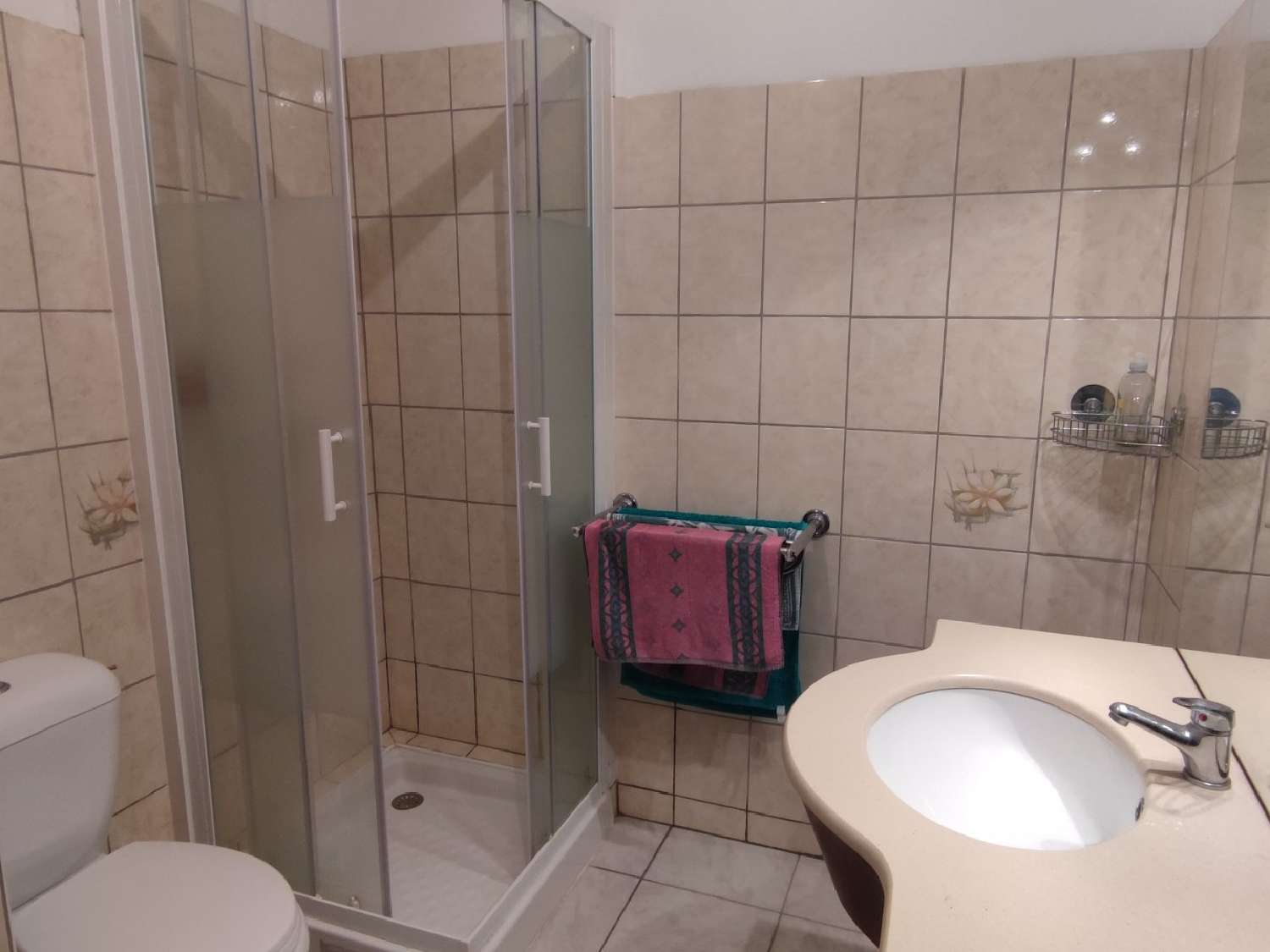 te koop huis Villeneuve-d'Olmes Ariège 6