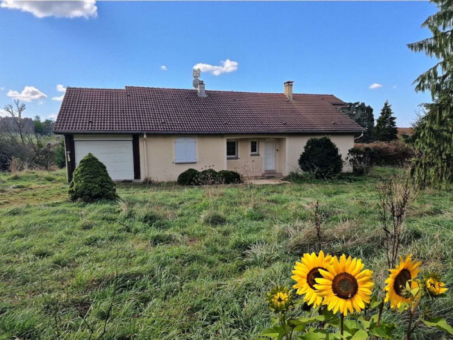  te koop huis Vittel Vogezen 1