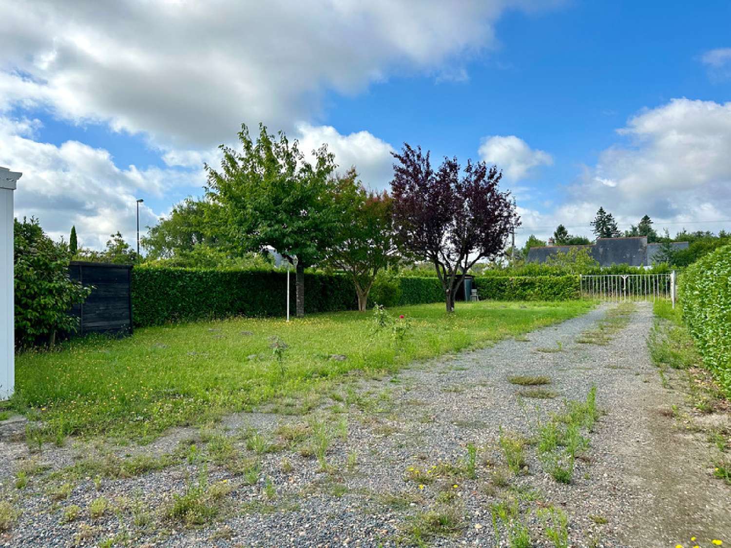  for sale house Vivy Maine-et-Loire 8