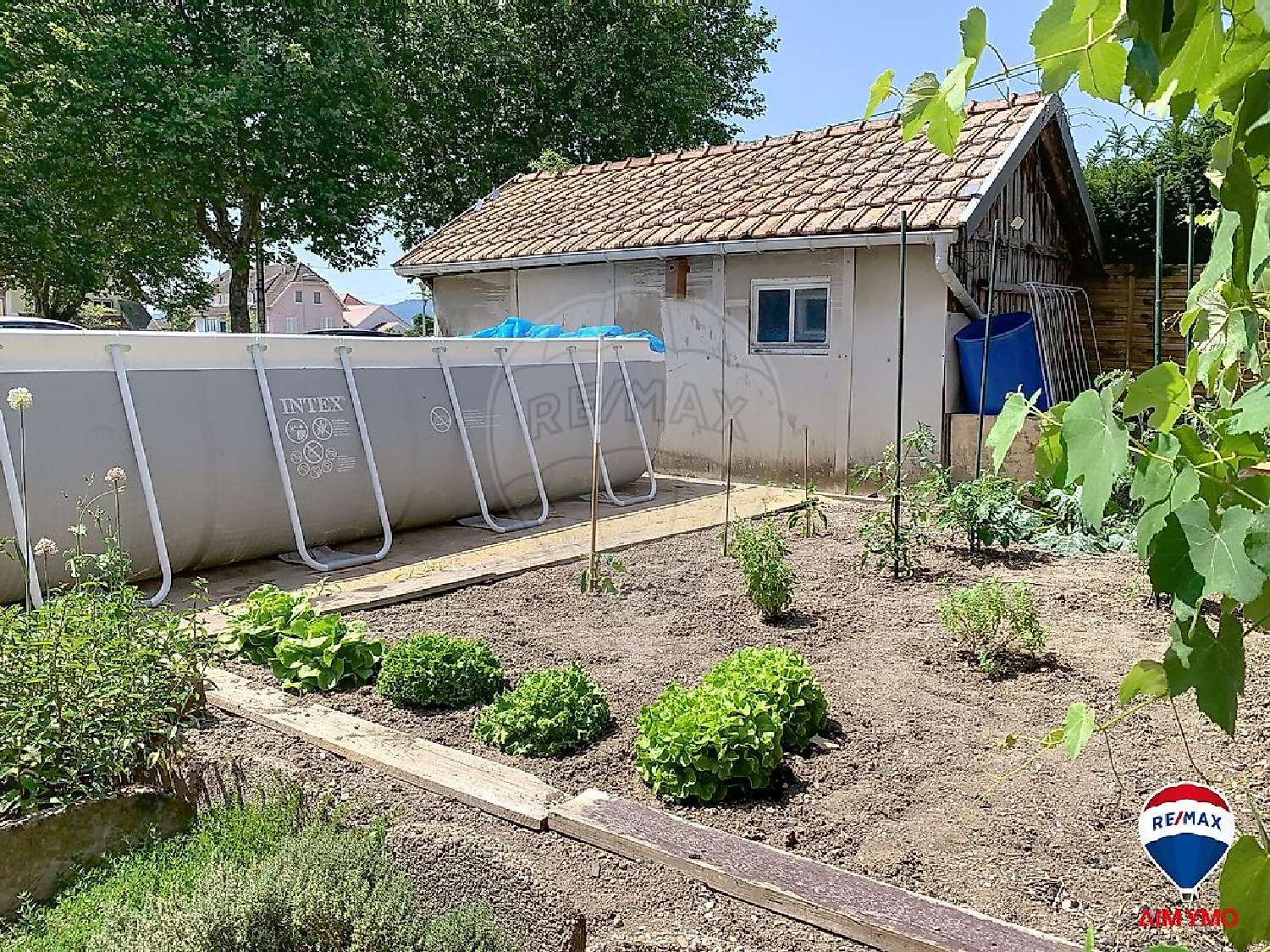  kaufen Haus Wittelsheim Haut-Rhin 7