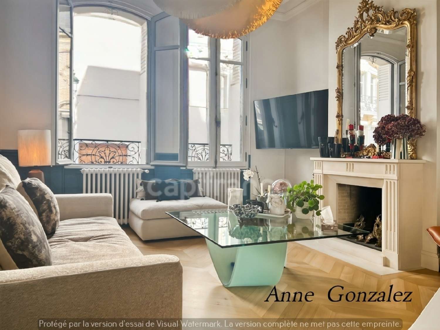  for sale mansion Orléans Loiret 5