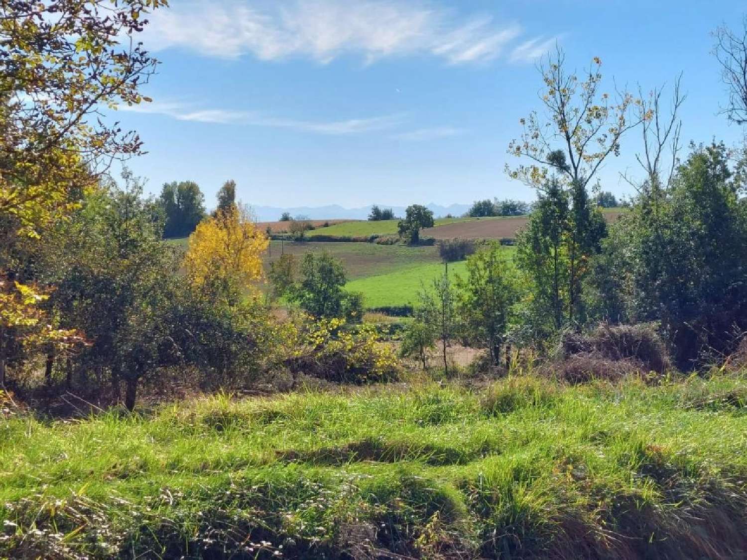  te koop herenhuis Panassac Gers 5