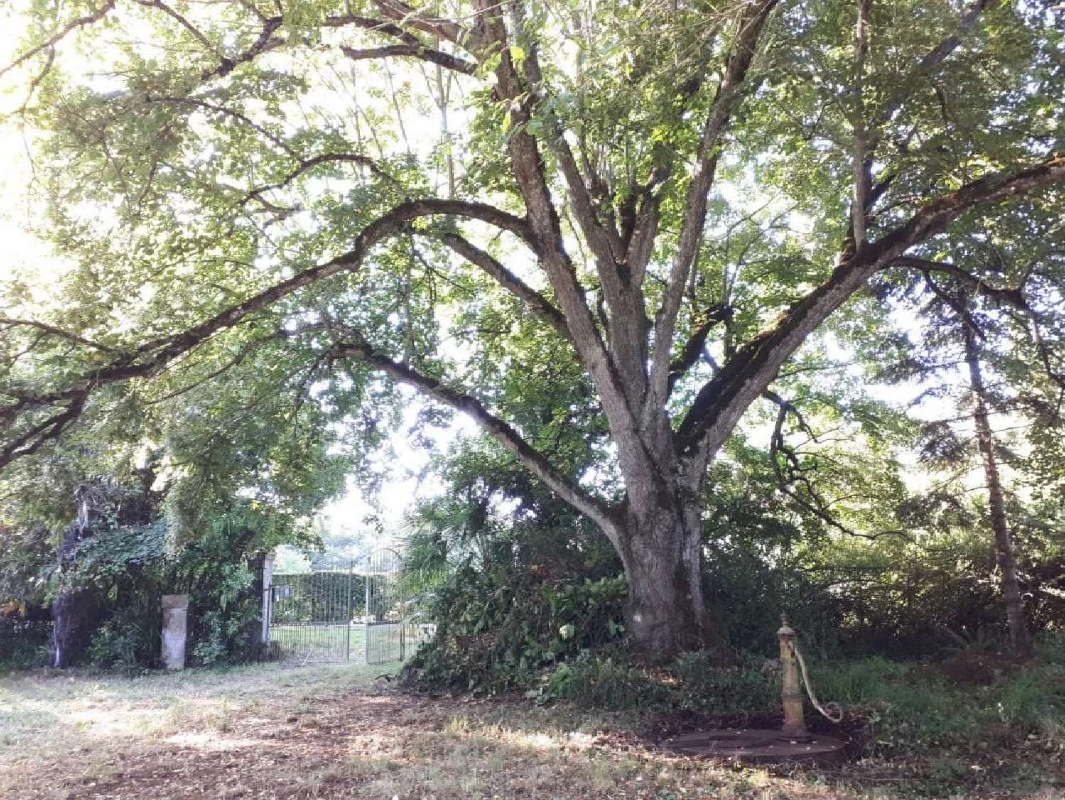  te koop herenhuis Panassac Gers 6