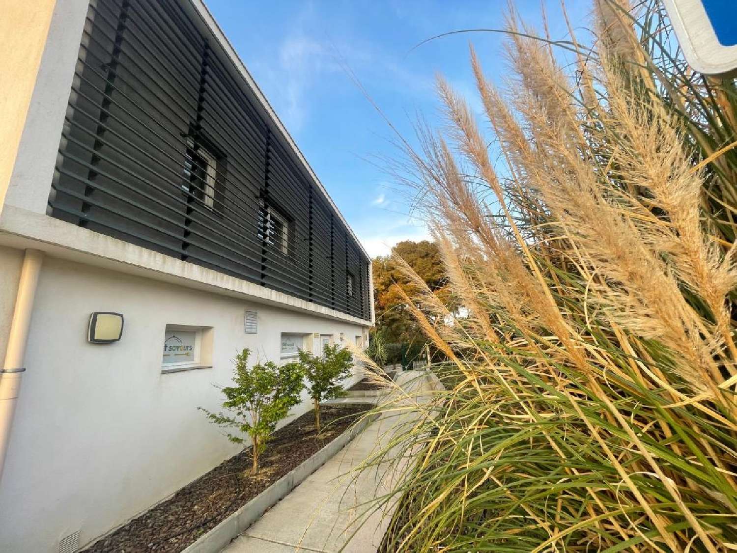 à vendre maison Saugnac-et-Cambran Landes 1