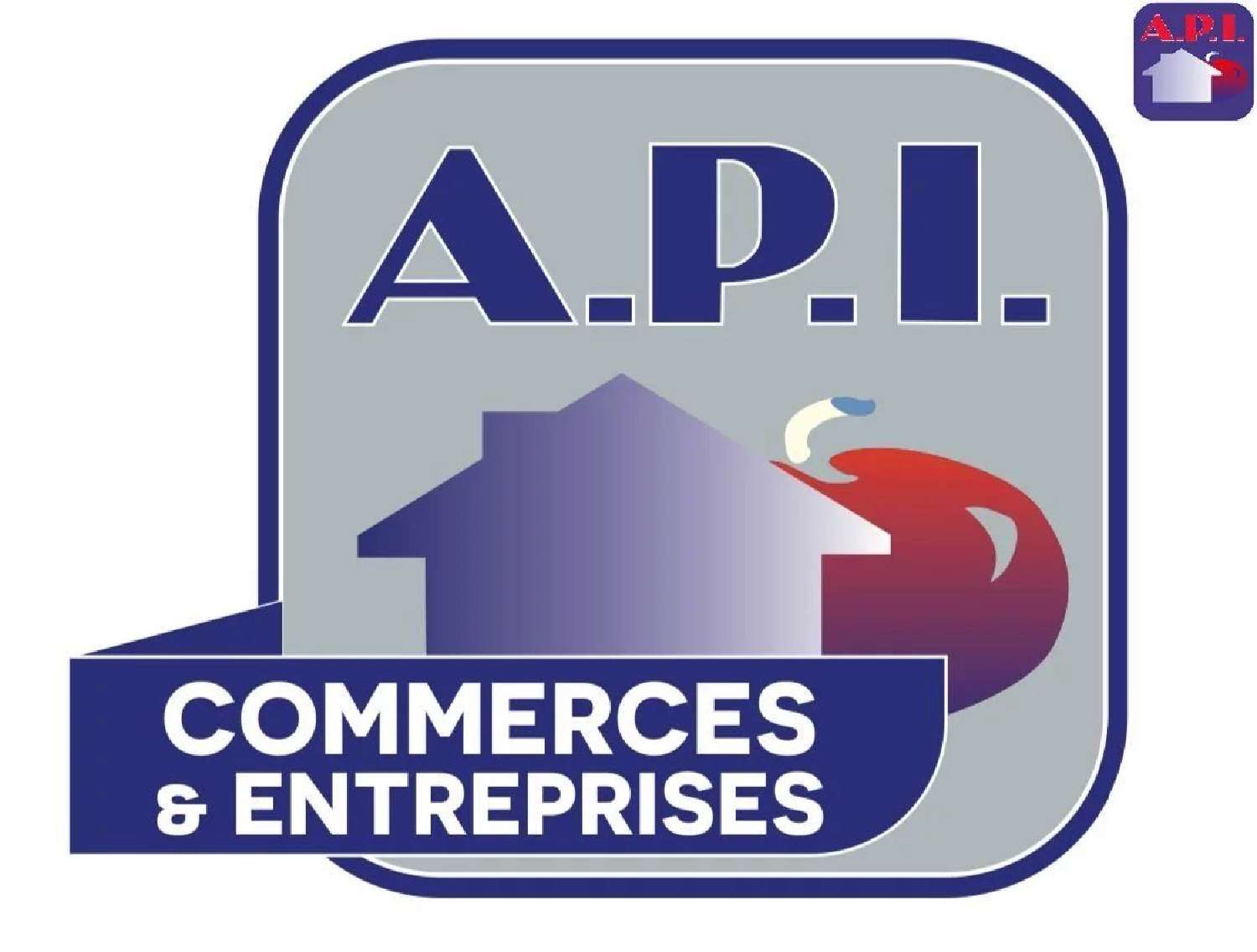 à vendre bureau Laroque-d'Olmes Ariège 1