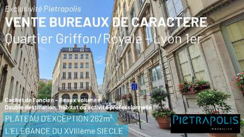 Lyon 1er Arrondissement Rhône office foto 7171078