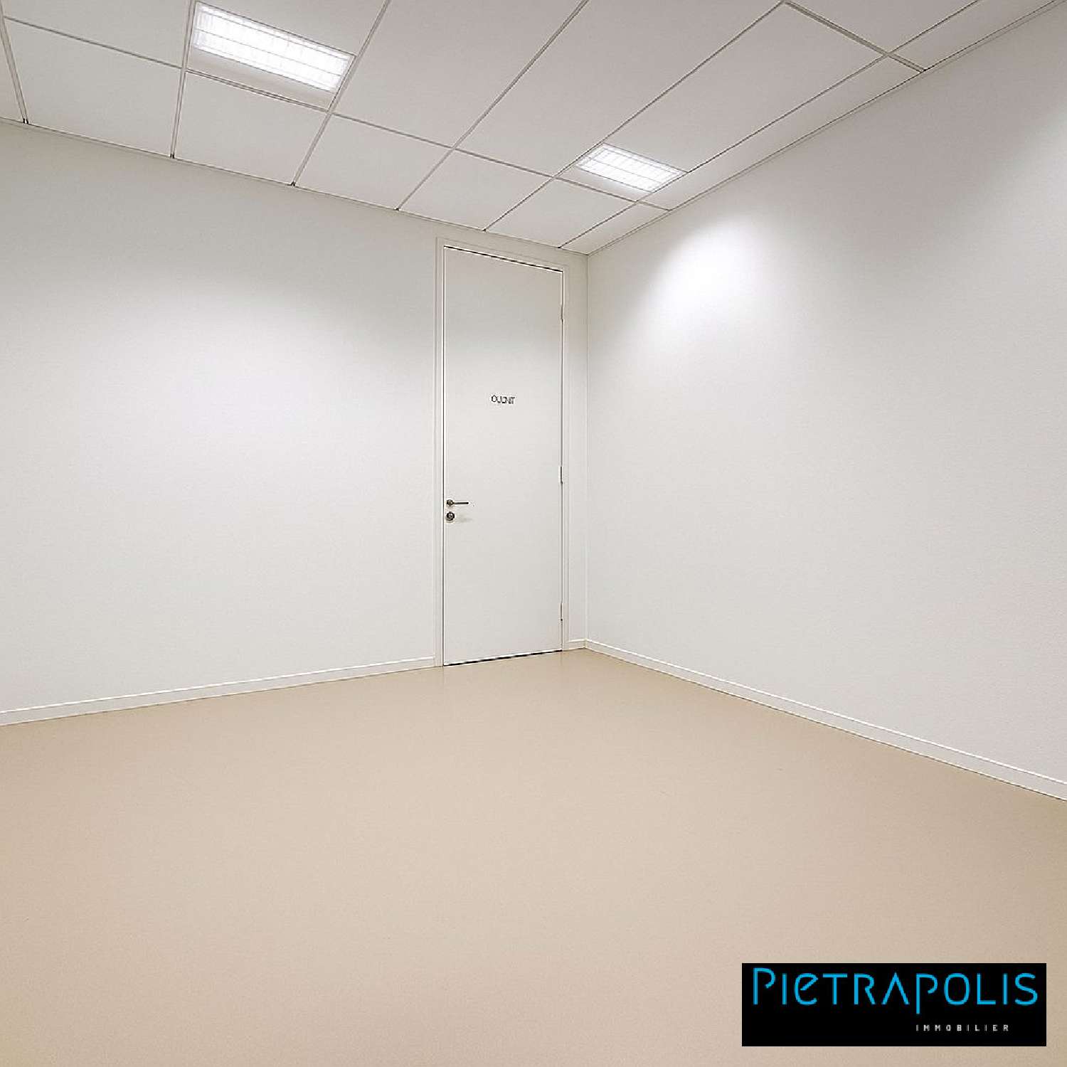  kaufen Büro Saint-Priest Rhône 3