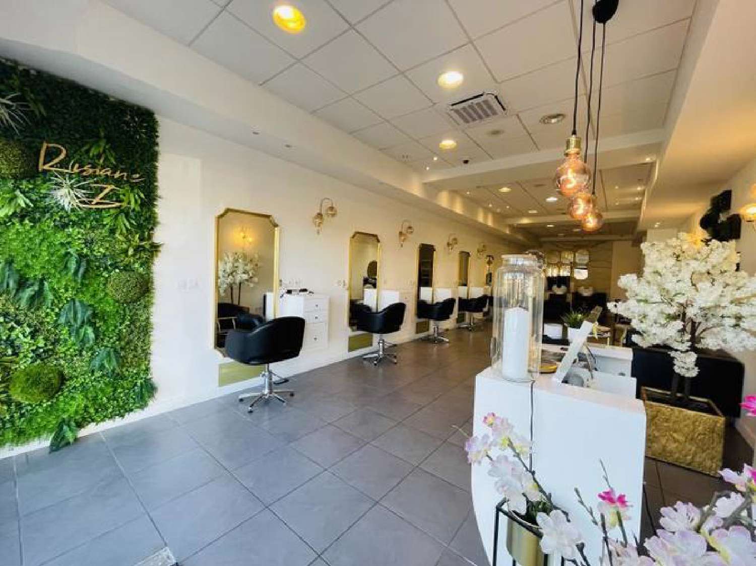  kaufen Büro Villette-d'Anthon Isère 1