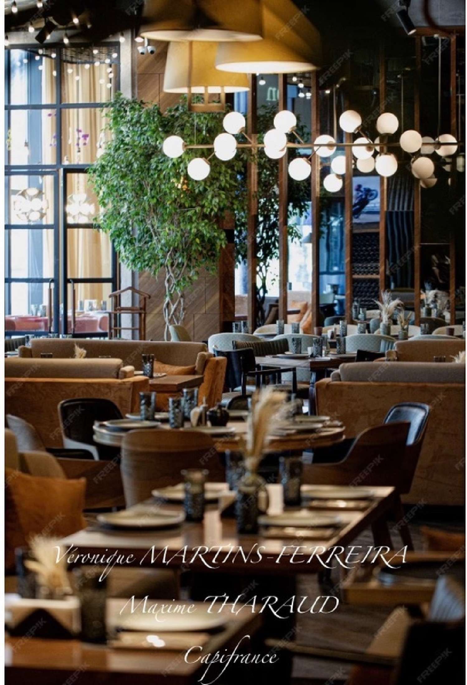 for sale restaurant Lamotte-Beuvron Loir-et-Cher 1