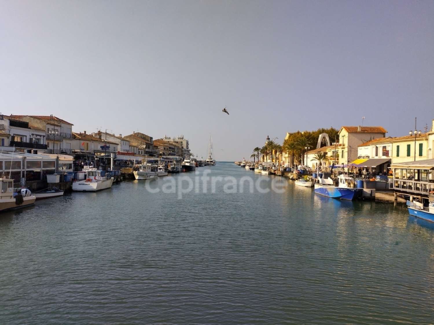 à vendre restaurant Le Grau-du-Roi Gard 2