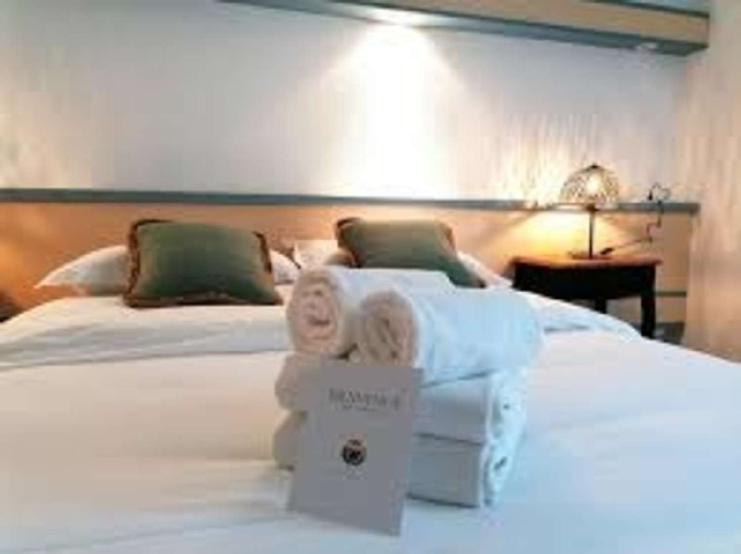 te koop restaurant Rodez Aveyron 6