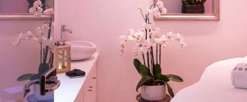 Toulon Var restaurant foto 7187328