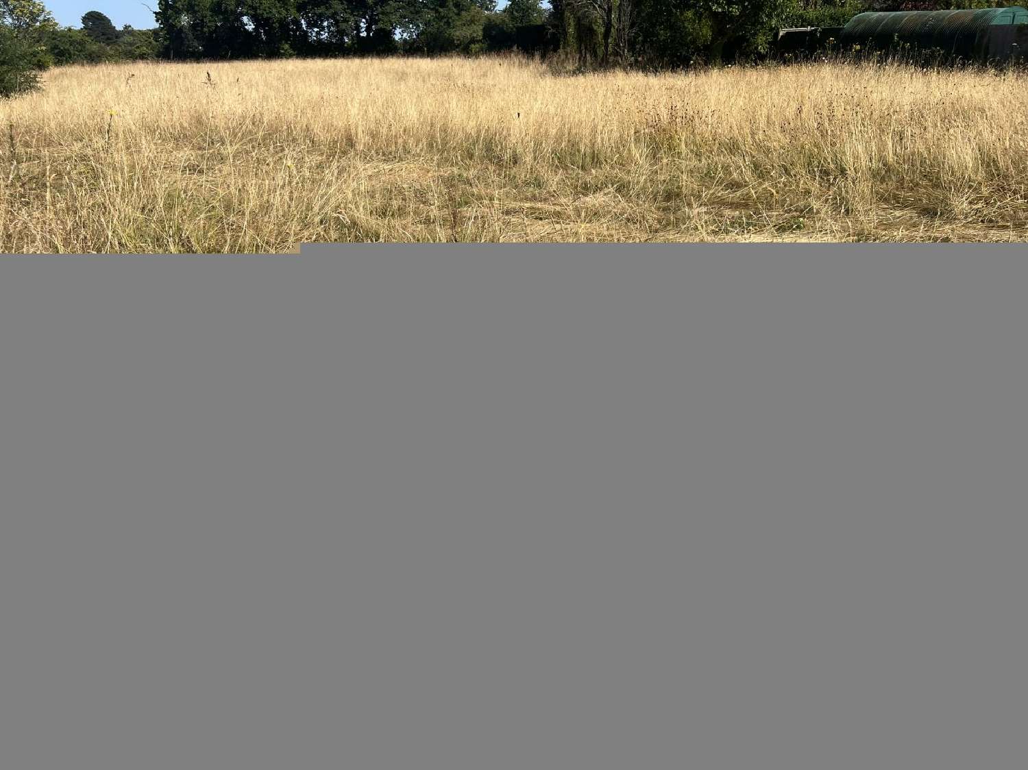 à vendre terrain Aigrefeuille-sur-Maine Loire-Atlantique 1