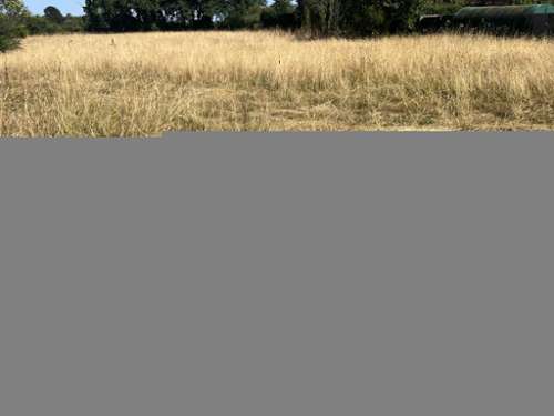 Aigrefeuille-sur-Maine Loire-Atlantique terrain foto 7185231