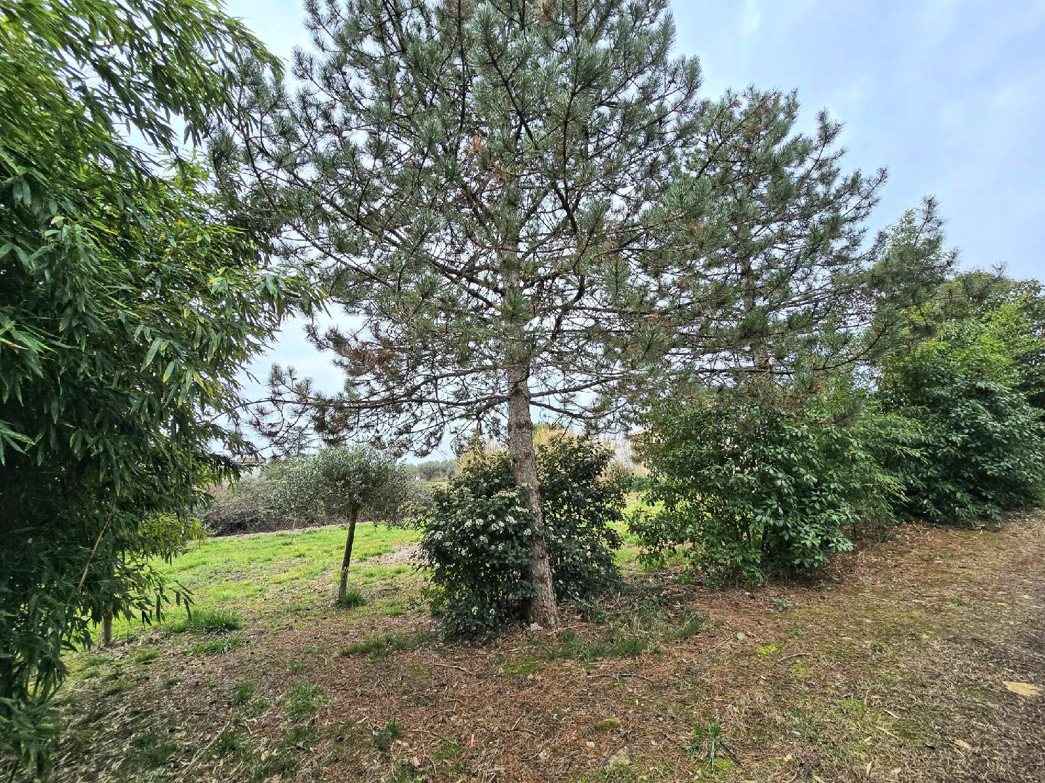  te koop terrein Alès Gard 2