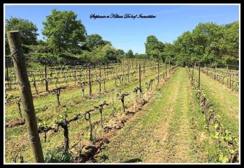 Alignan-du-Vent Hérault terrain foto 7170186