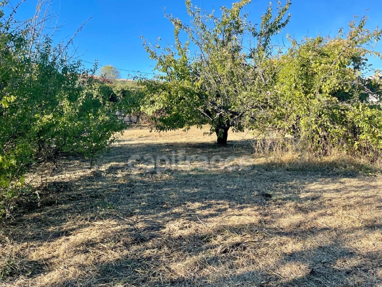  à vendre terrain Apt Vaucluse 4