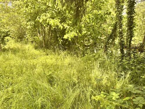 Arc-sur-Tille Côte-d'Or terrain foto 7195163