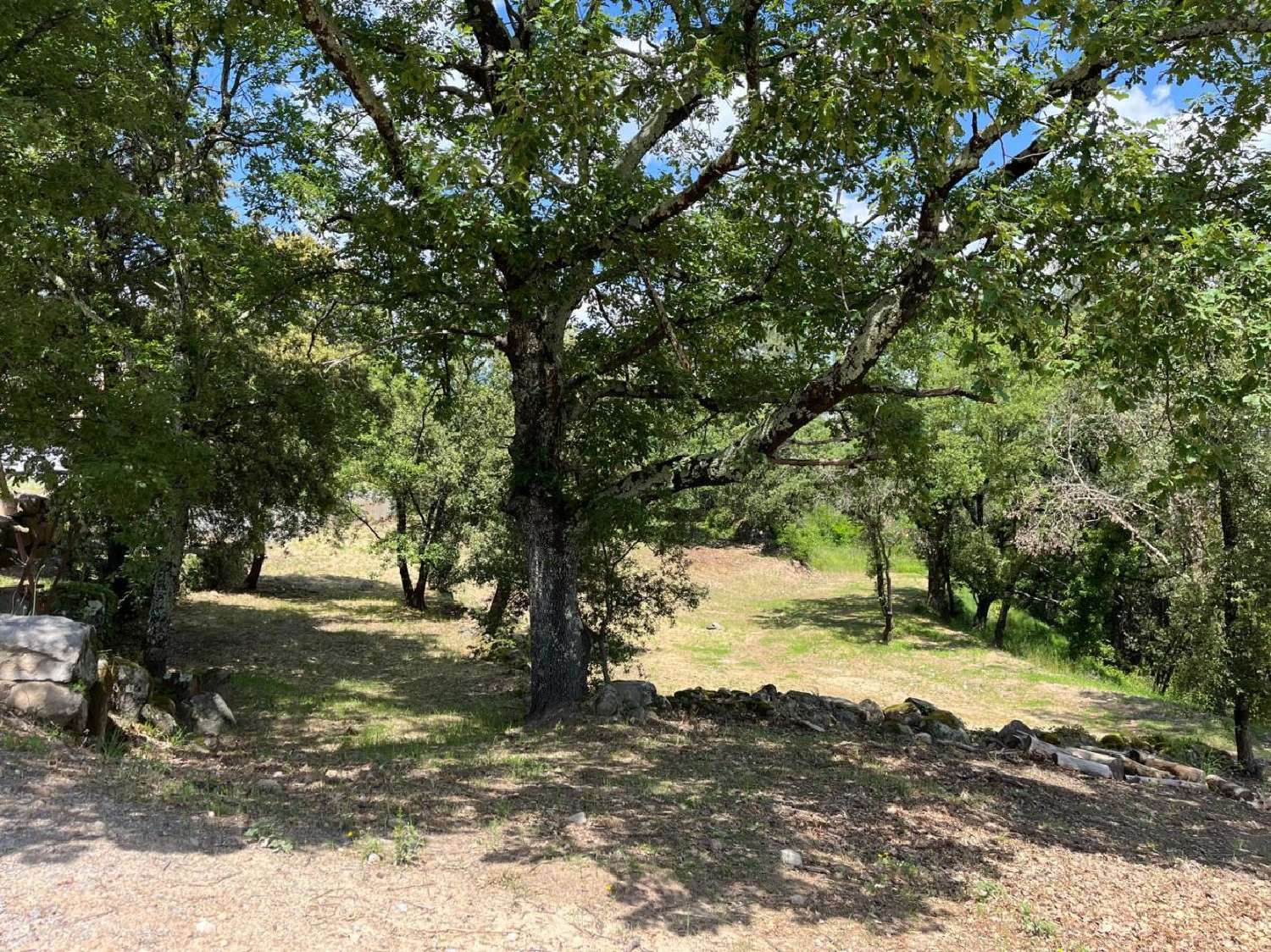 for sale terrain Aubenas Ardèche 5