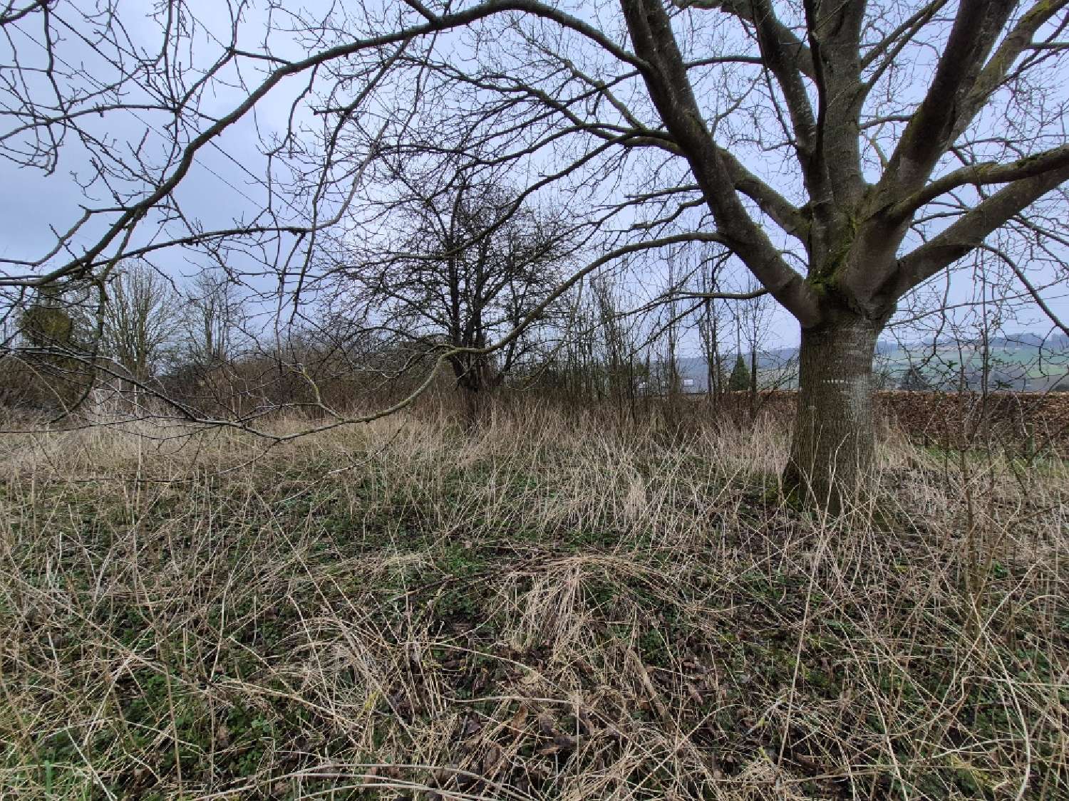 for sale terrain Aumale Seine-Maritime 1