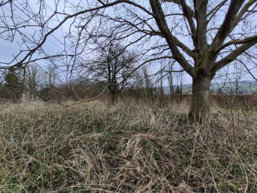 Aumale Seine-Maritime terrain foto 7207811