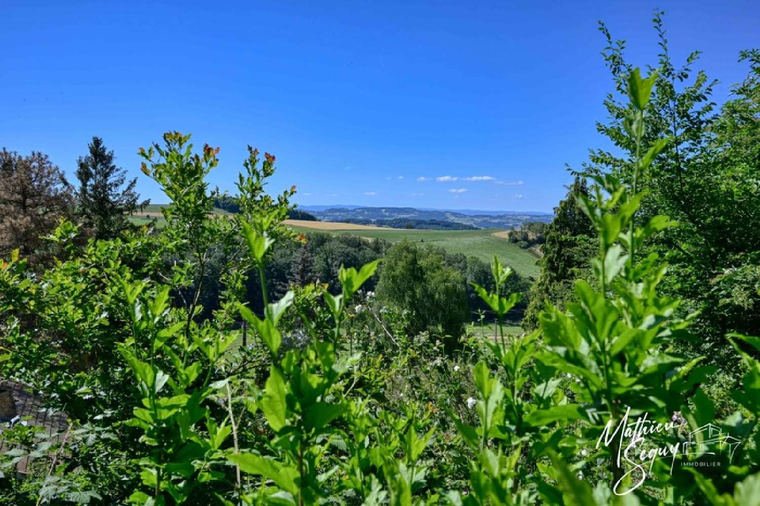 for sale terrain Aveize Rhône 8