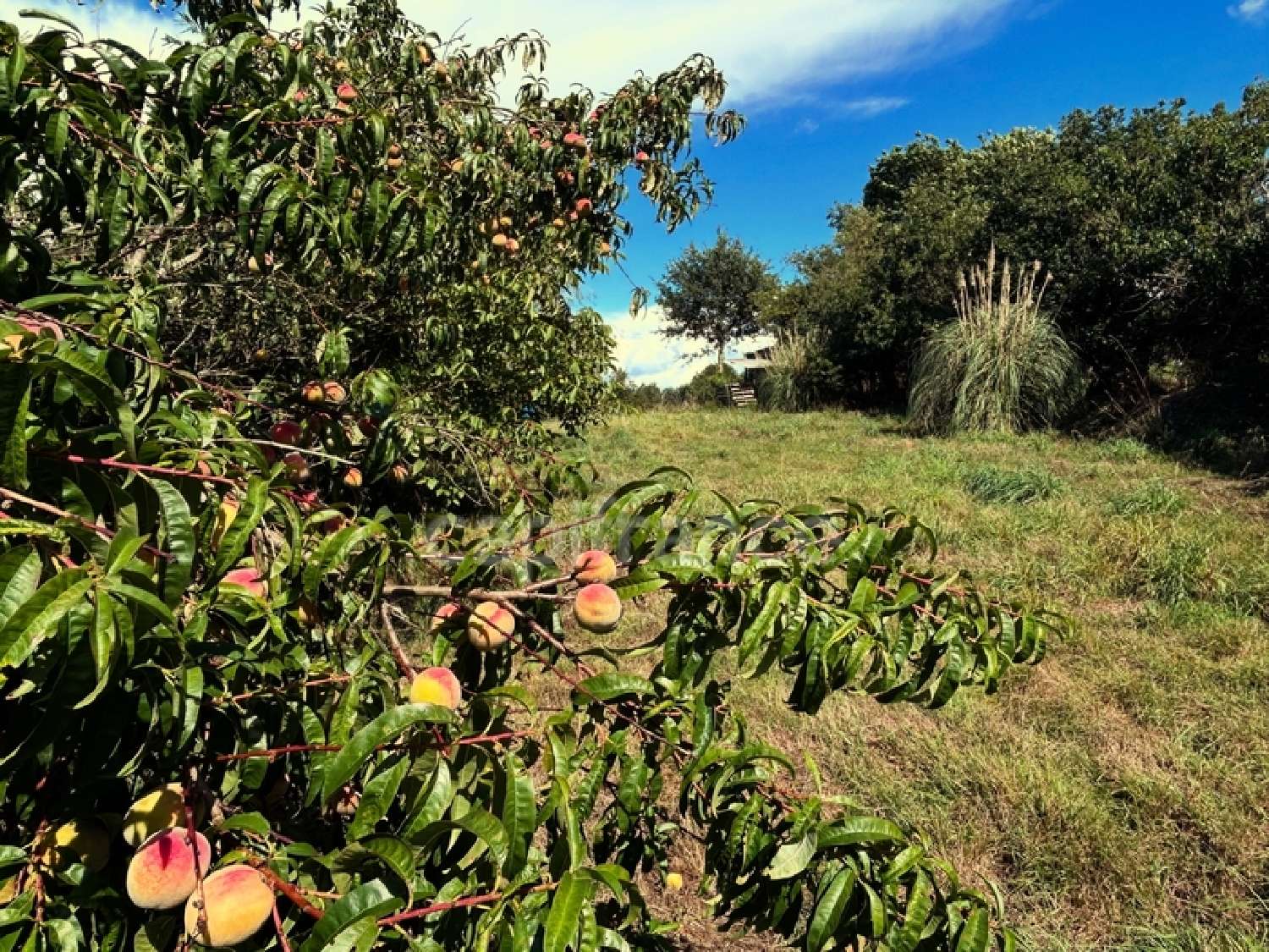  à vendre terrain Bain-de-Bretagne Ille-et-Vilaine 1