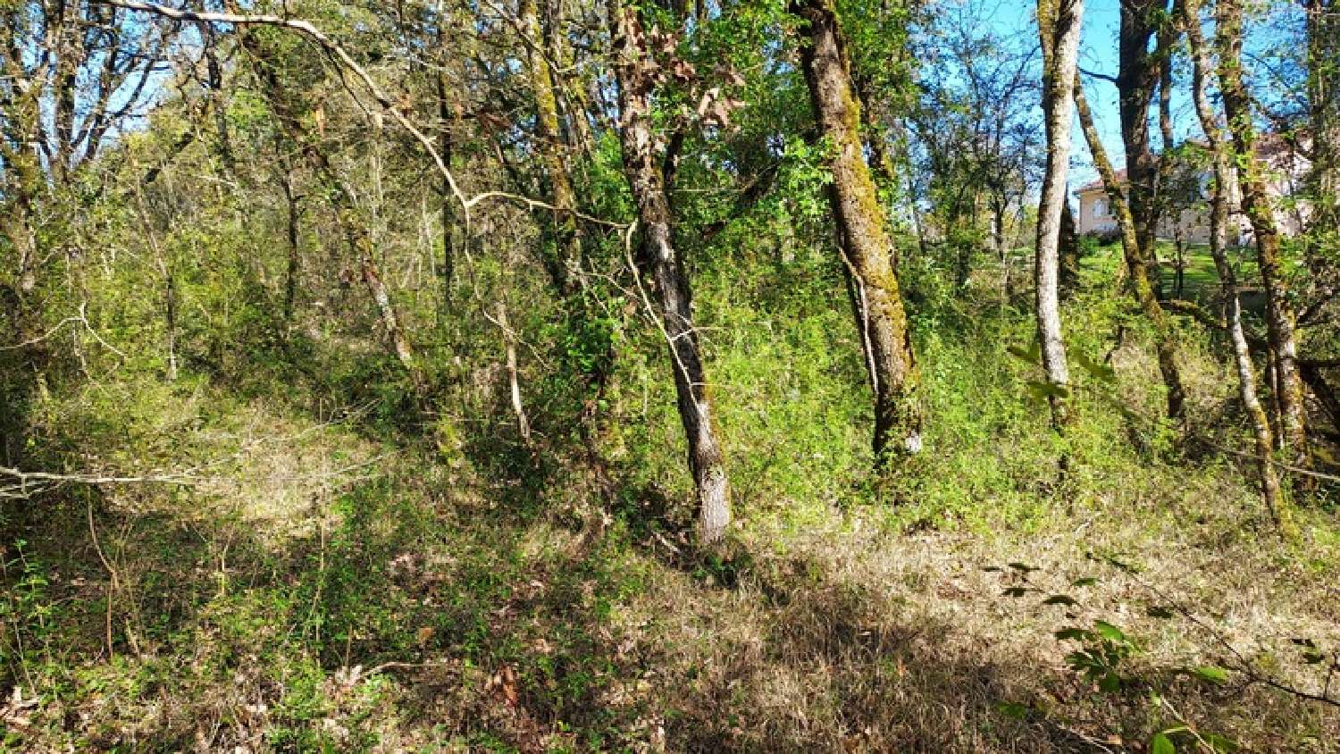  à vendre terrain Baladou Lot 2