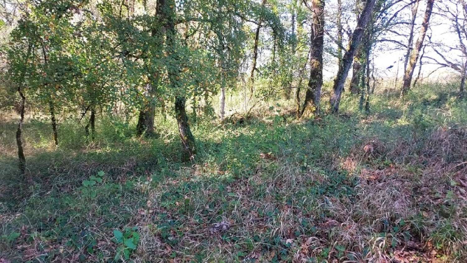  à vendre terrain Baladou Lot 4