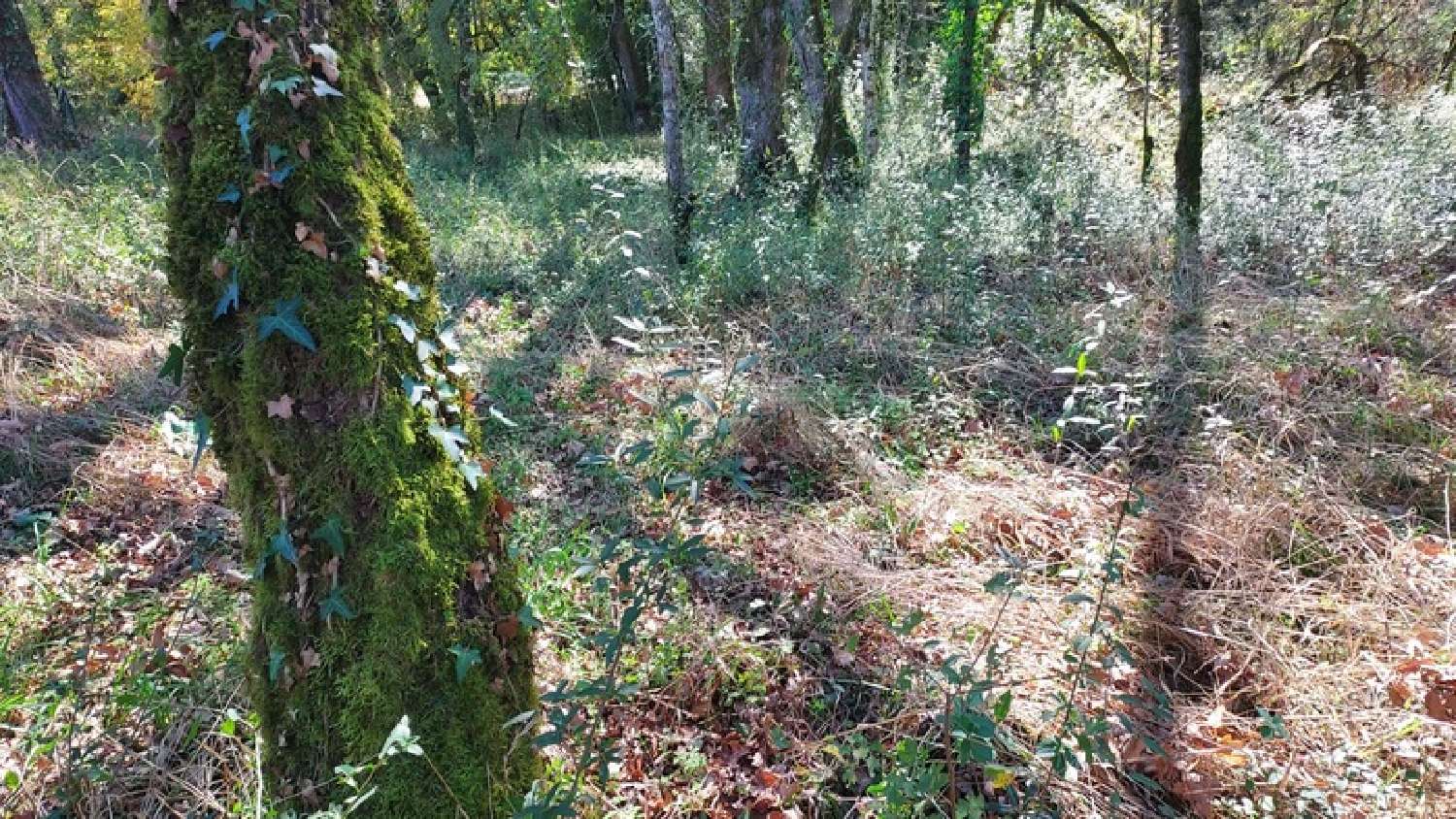  à vendre terrain Baladou Lot 5