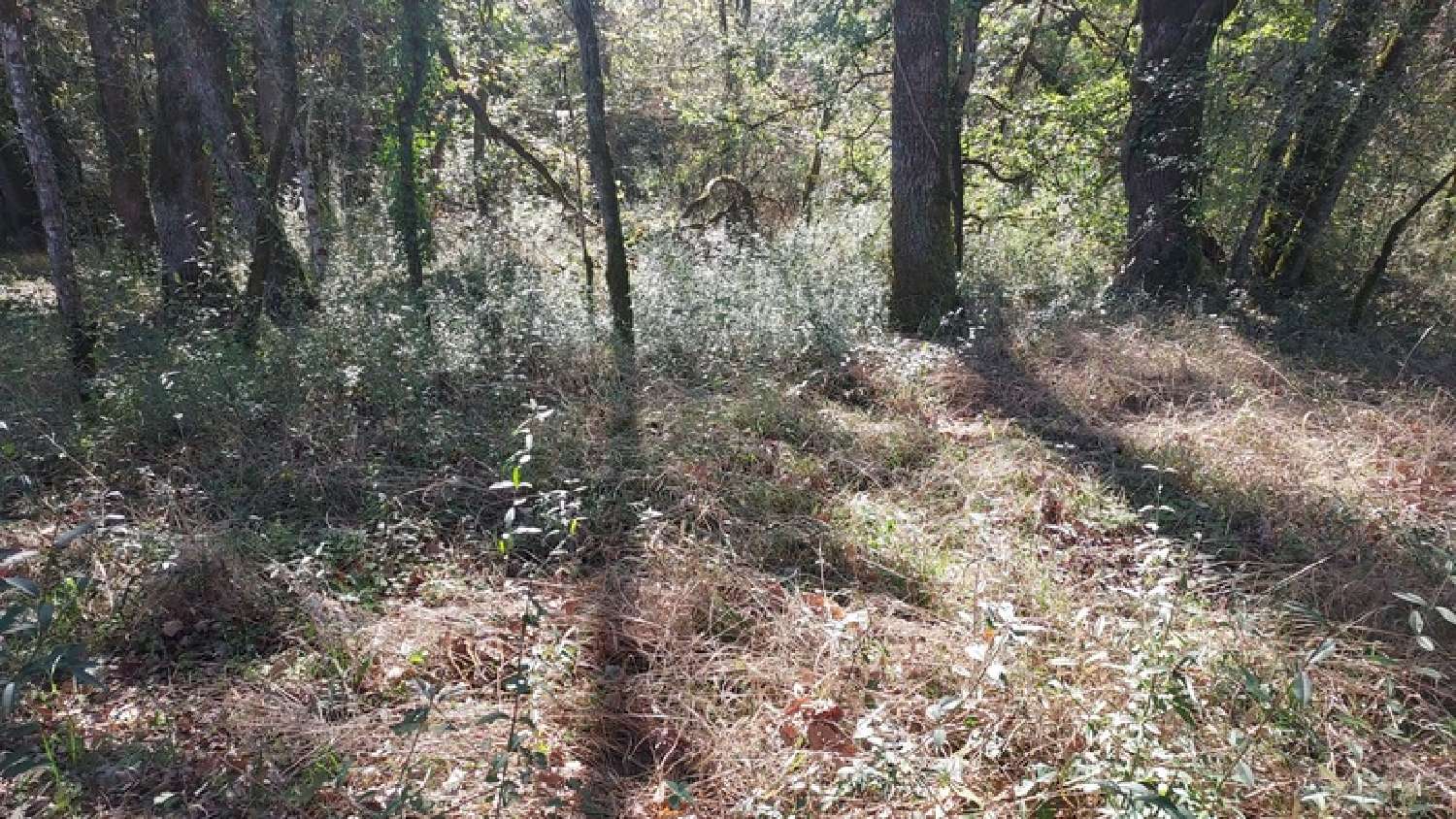  à vendre terrain Baladou Lot 8