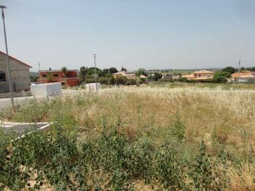 Banyuls-dels-Aspres Pyrénées-Orientales terrein foto 7184041