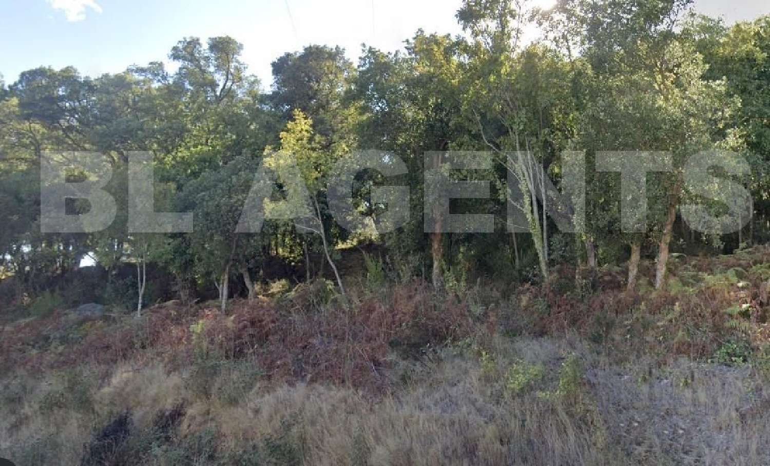 for sale terrain Bastia Haute-Corse 1