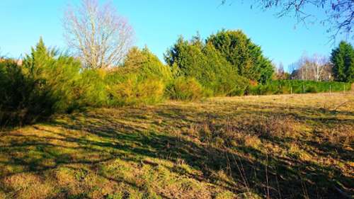 Bazoches-sur-Guyonne Yvelines terrain foto 7187755