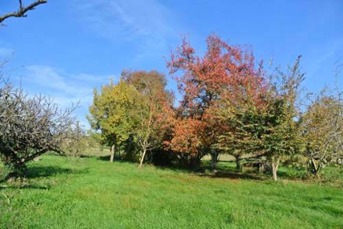 Beaupuy Lot-et-Garonne terrain foto 7192131