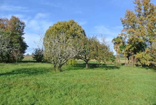 Beaupuy Lot-et-Garonne terrain foto 7192132