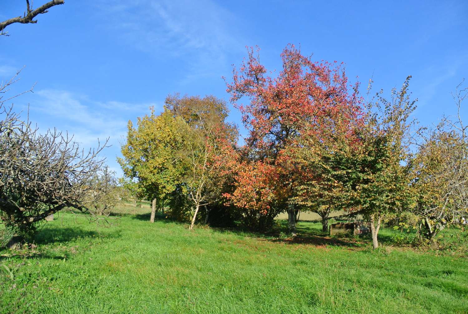 kaufen Grundstück Beaupuy Lot-et-Garonne 1